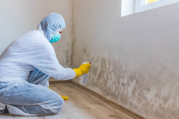 Hvac And Air Duct Mold Remediation inspection of HVAC system in Wallington